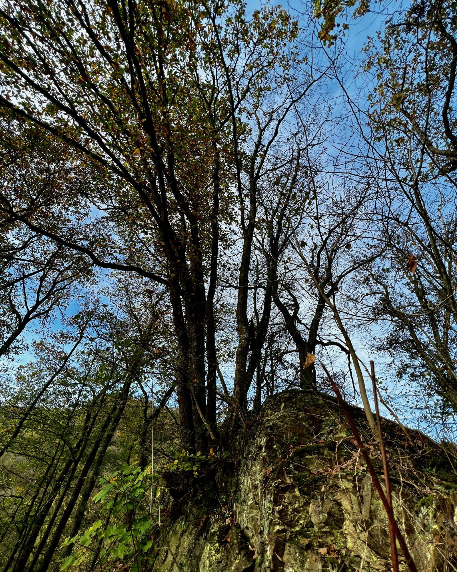 Stopp am Aussichtspunkt