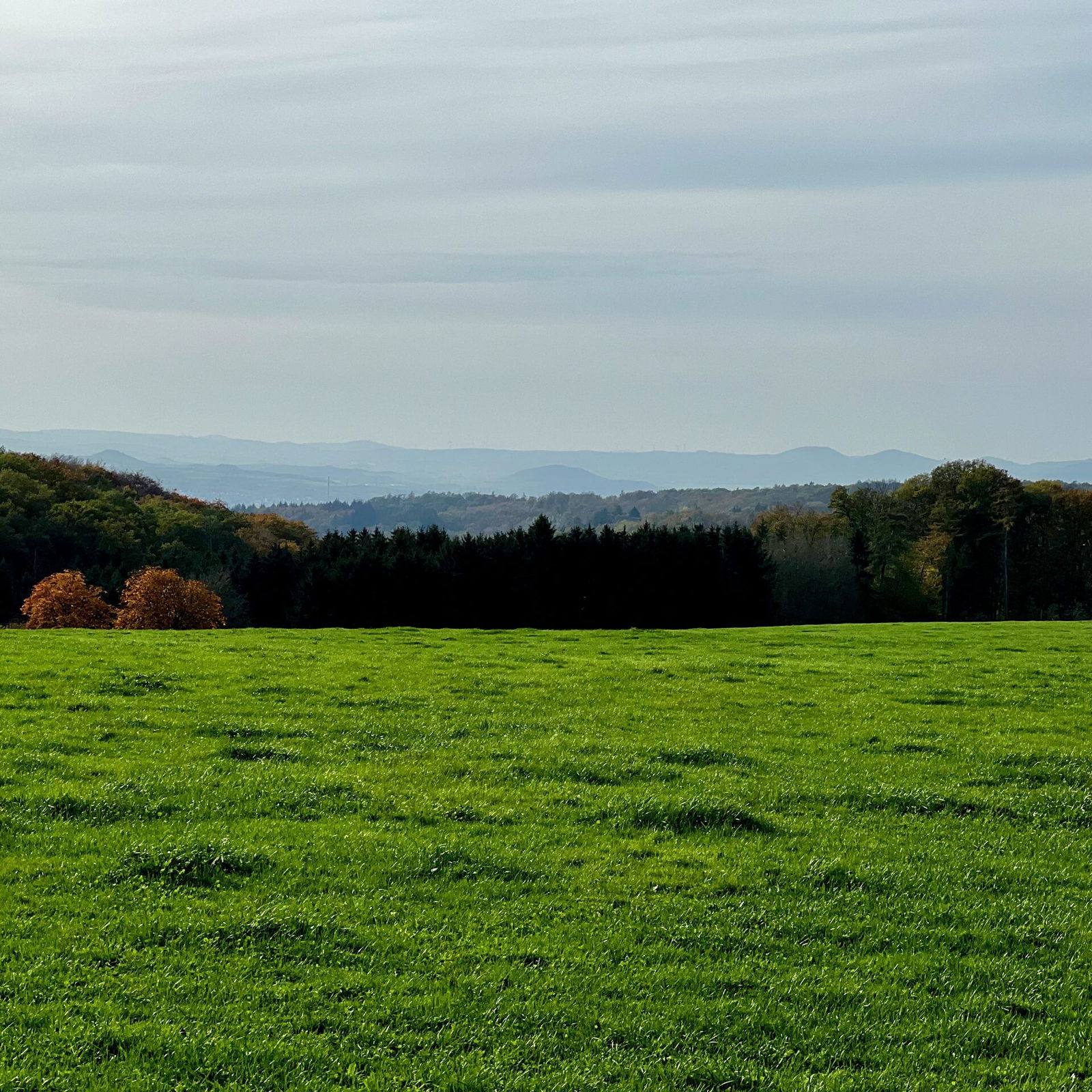 Schöner Weitblick bei Nauort