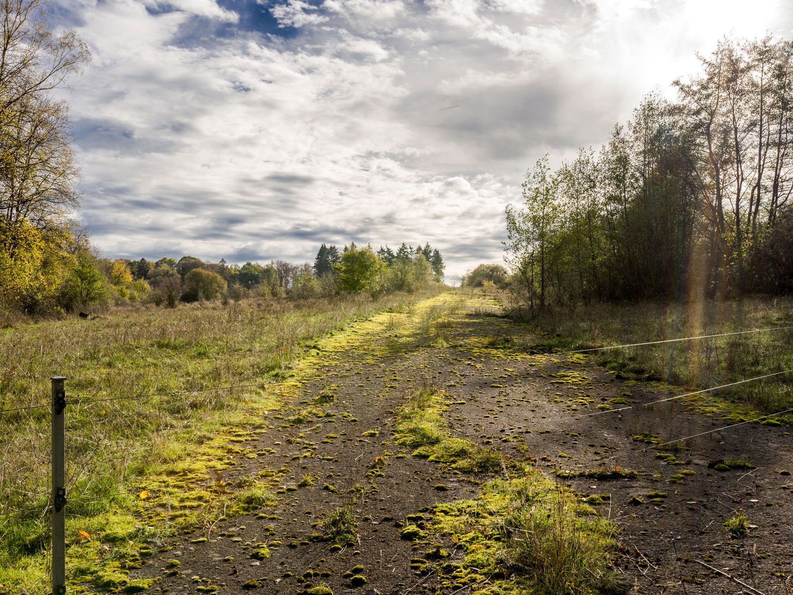 Wanderung imNaturschutzgebiet Schmidtenhöhe