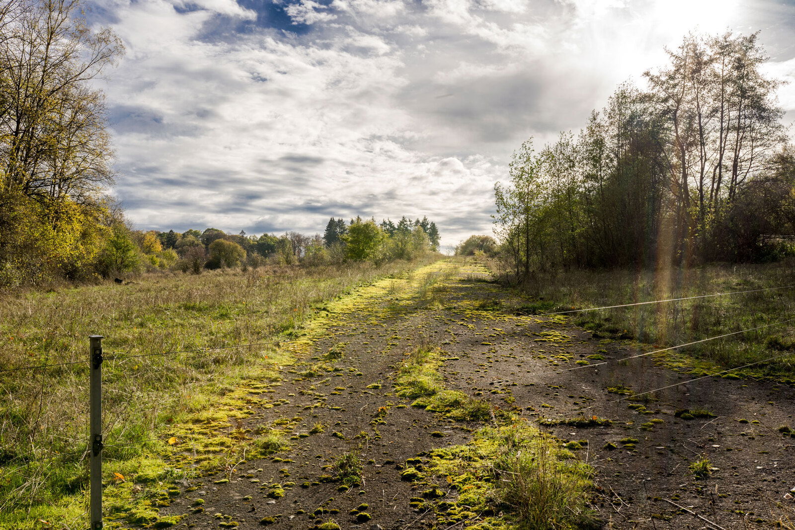 Wanderung imNaturschutzgebiet Schmidtenhöhe