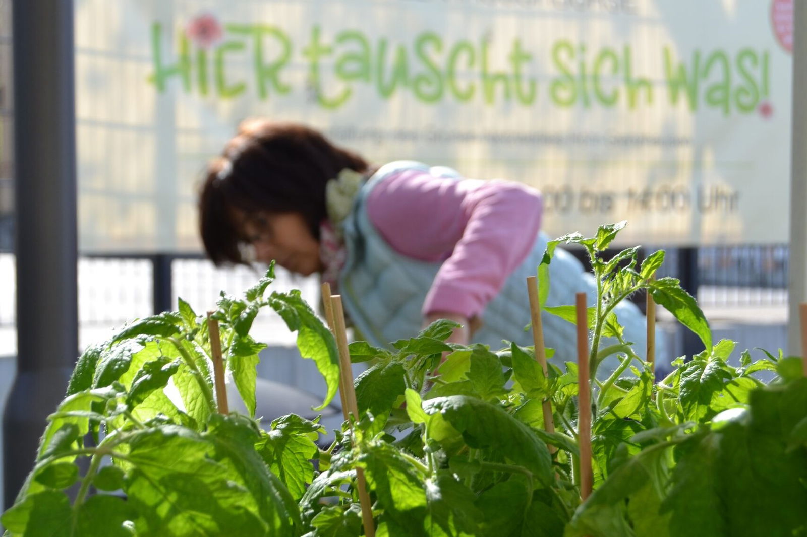 Hier tauscht sich was - Pflanzentasuchbörse