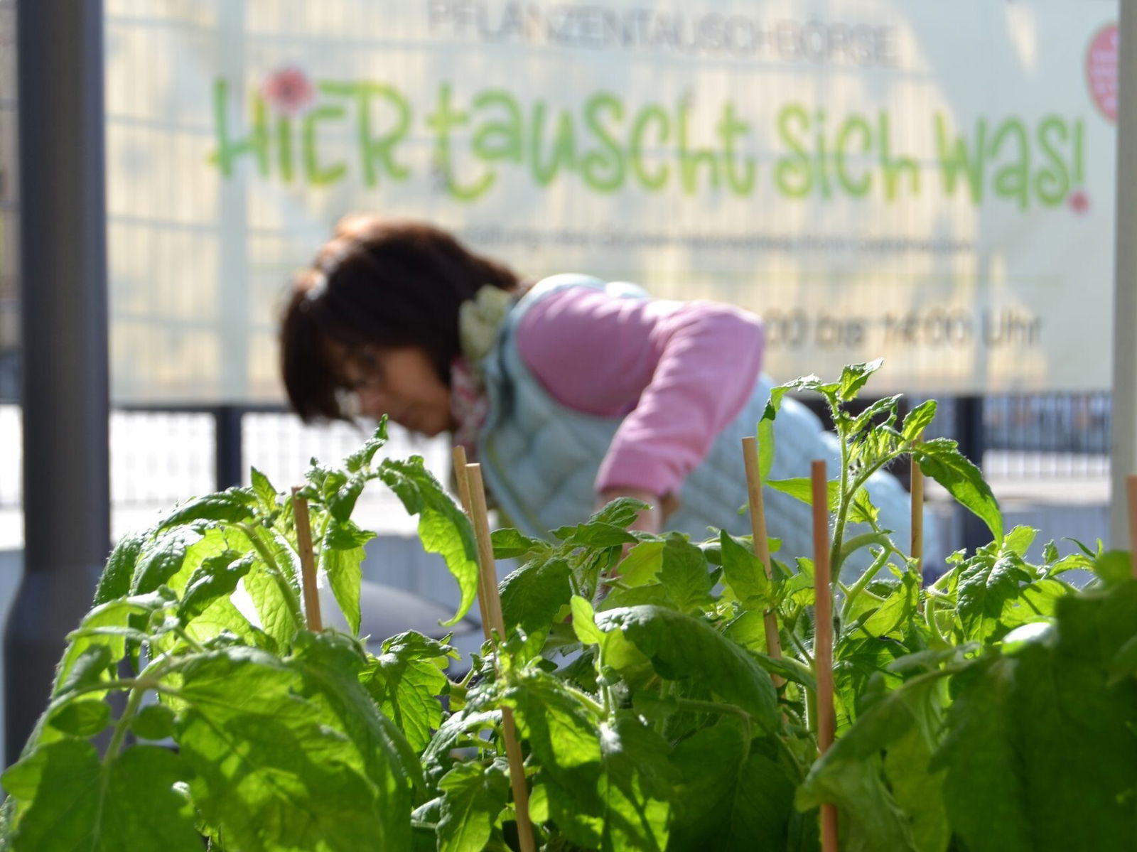 Hier tauscht sich was - Pflanzentasuchbörse