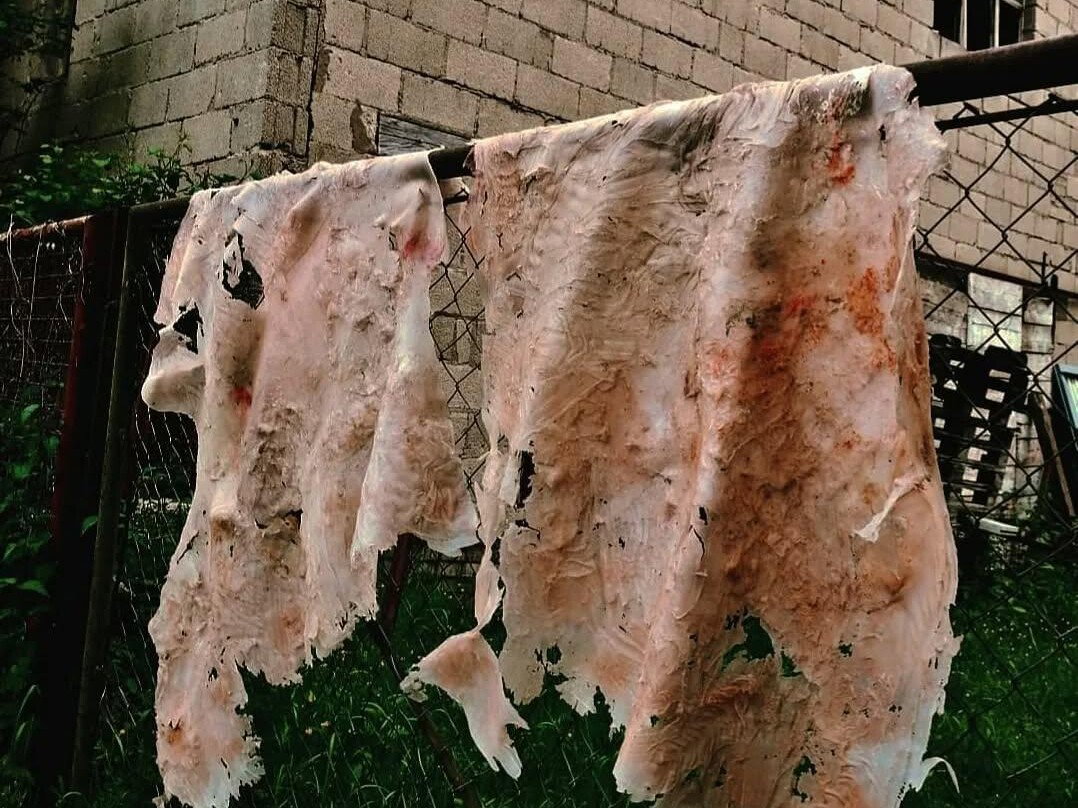 Samira Delzendeh (Iran)